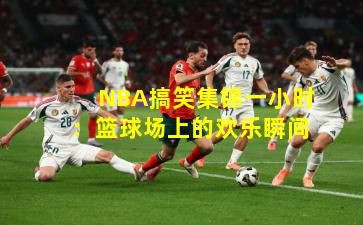 NBA搞笑集锦一小时:篮球场上的欢乐瞬间