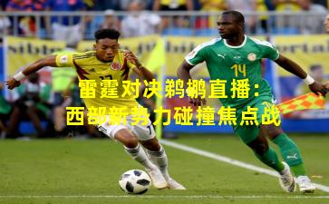 雷霆对决鹈鹕直播：西部新势力碰撞焦点战